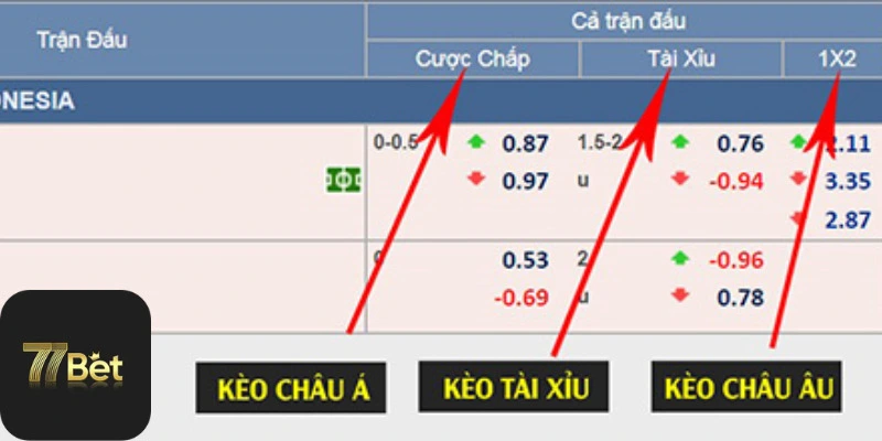 So sánh kết quả kèo châu âu và kèo châu á tại 77bet